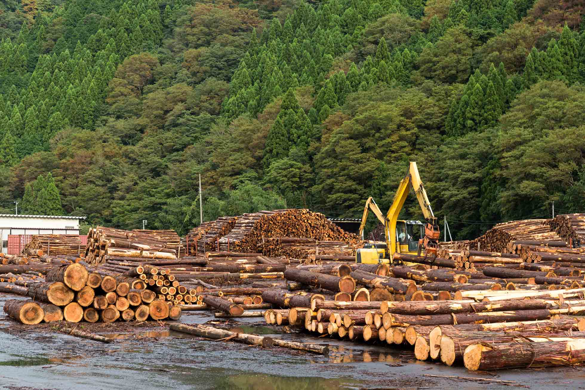 Baker Roofing Contractor | CQ Roofing 1 Logging Timber