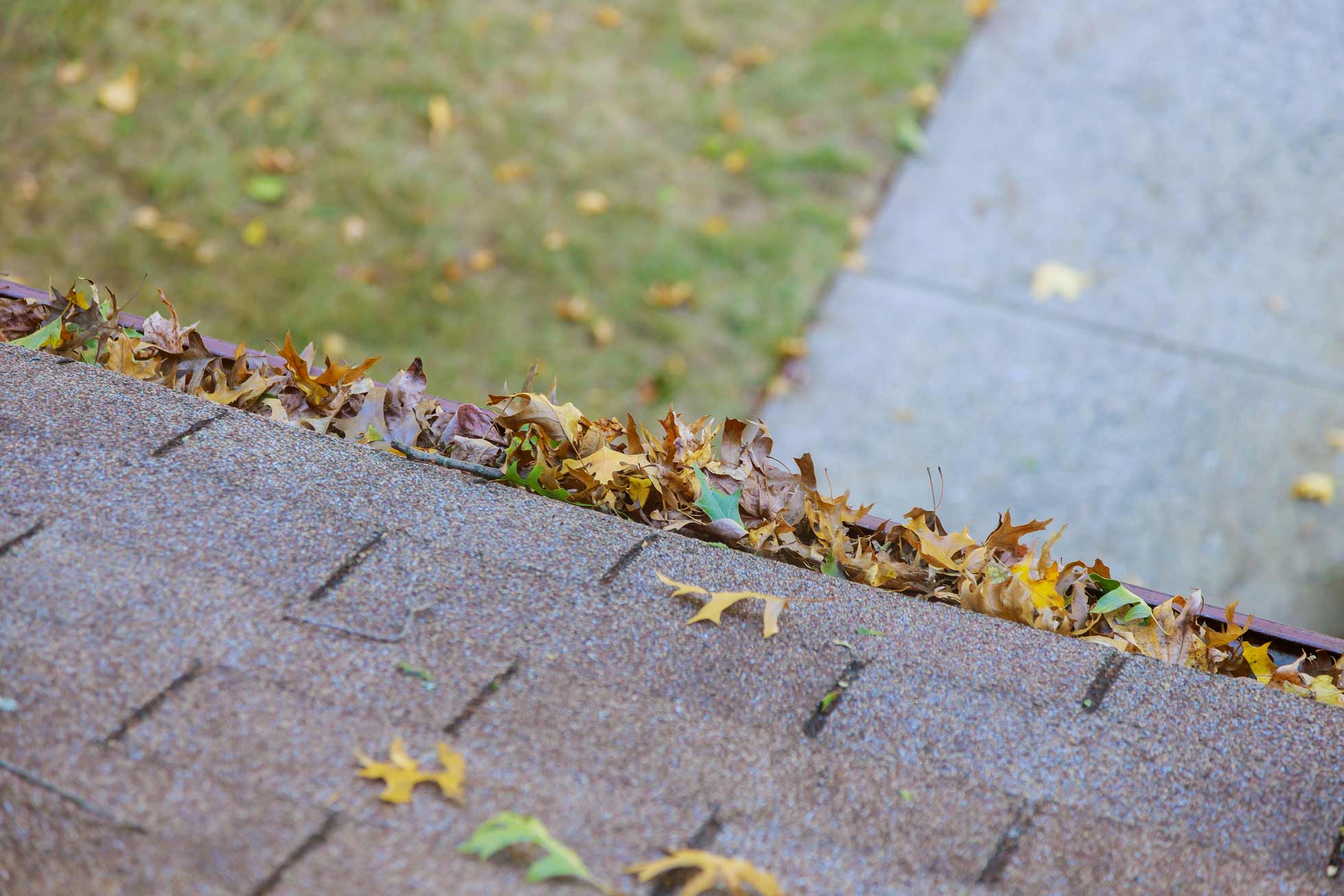 Gutter Cleaning Tips that Don’t Require a Ladder